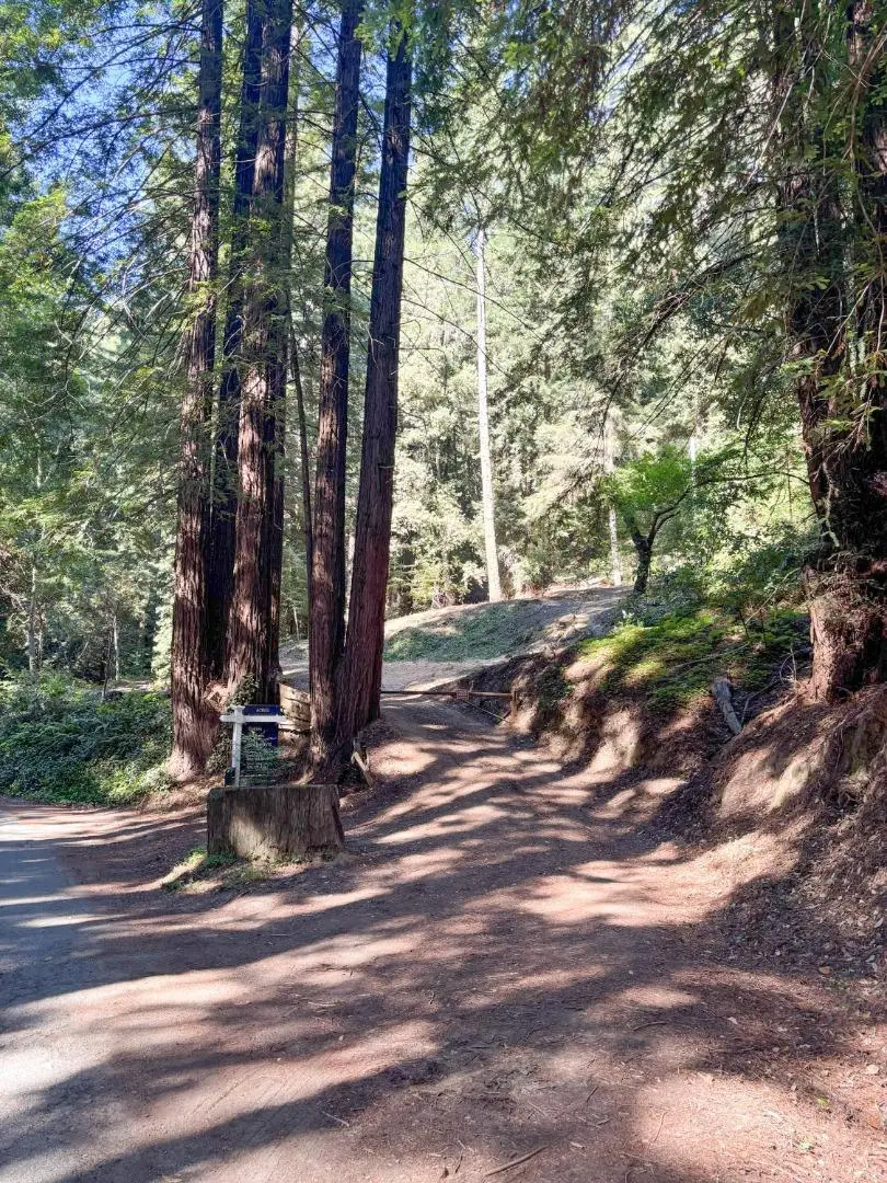 15645 Stetson Road, Los Gatos, CA 95033 - #1
