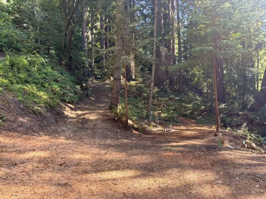 15645 Stetson Road, Los Gatos, CA 95033 - #3