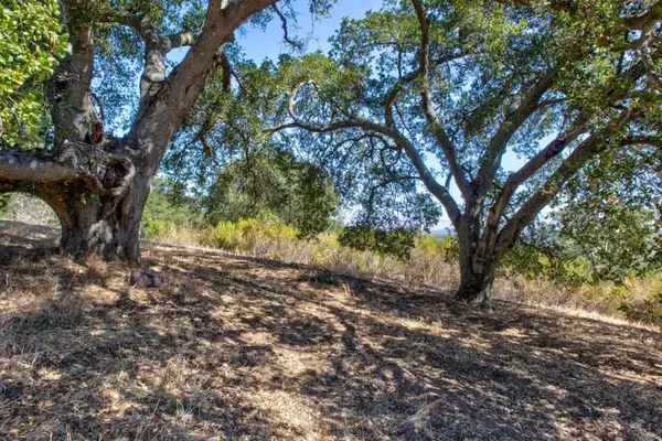 8272 Sassafras Court, Pleasanton, CA 94566