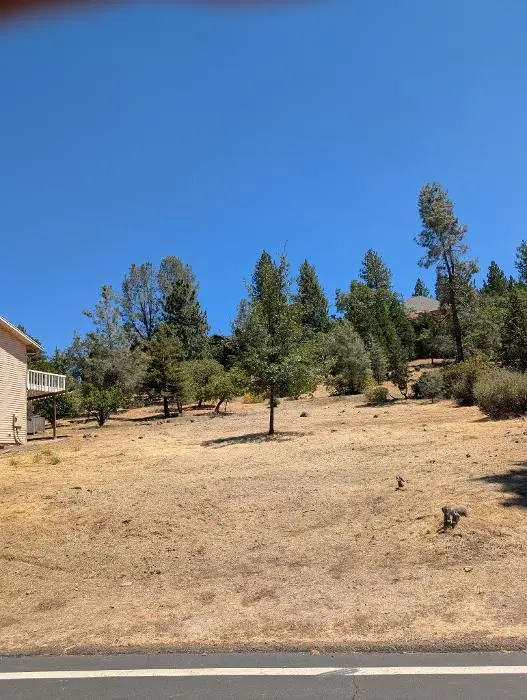 773 Dogwood Drive, Murphys, CA 95247 - #3
