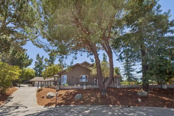 35 Silk Tree Place, Hillsborough, CA 94010