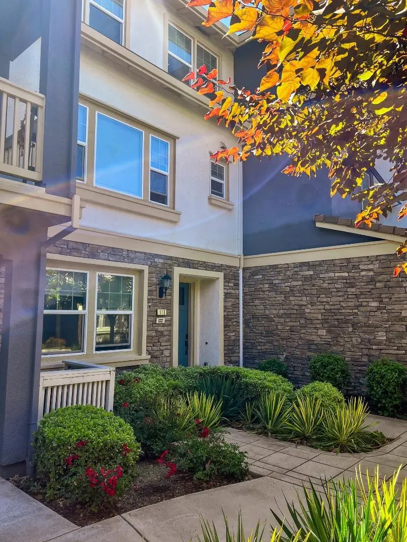 113 Lemmon Terrace, Sunnyvale, CA 94086 - #3
