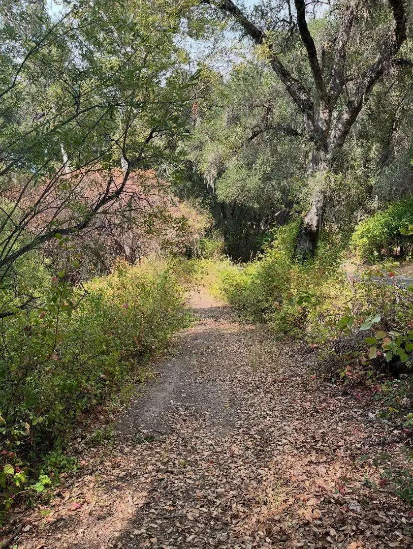 68 Asoleado Drive, Carmel Valley, CA 93924 - #1