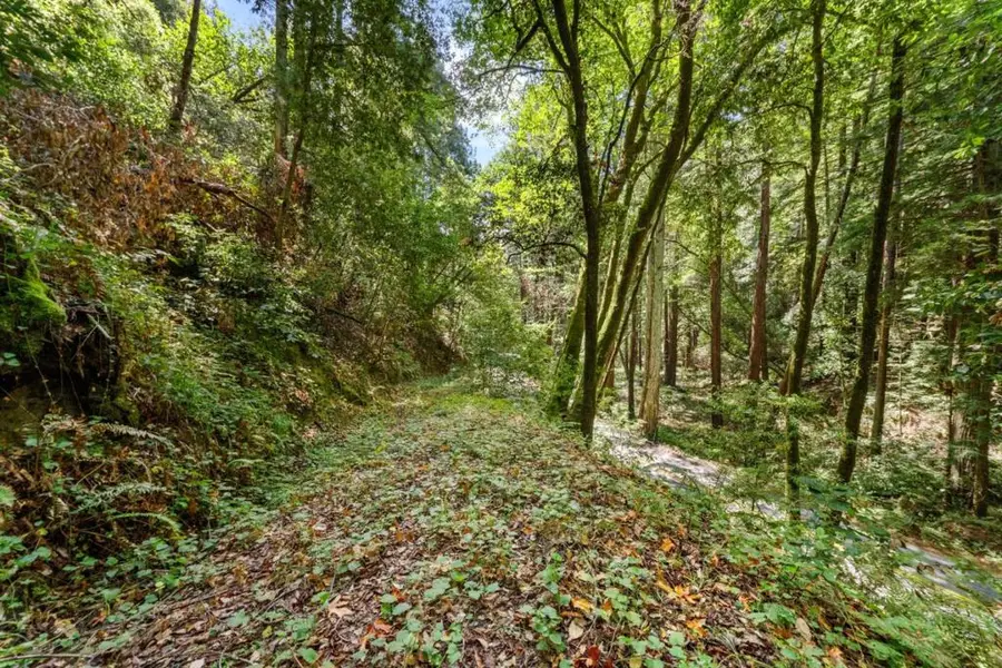 Granite Ridge Drive, Santa Cruz, CA 95065 - #3