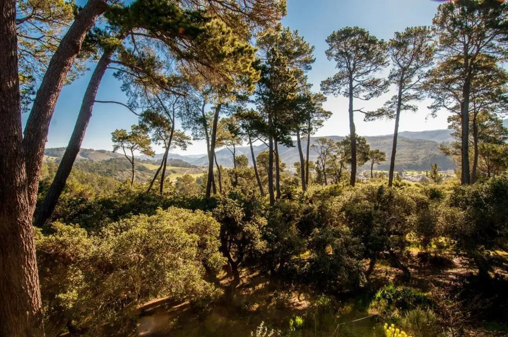 154 Del Mesa Carmel, Carmel, CA 93923 - #1