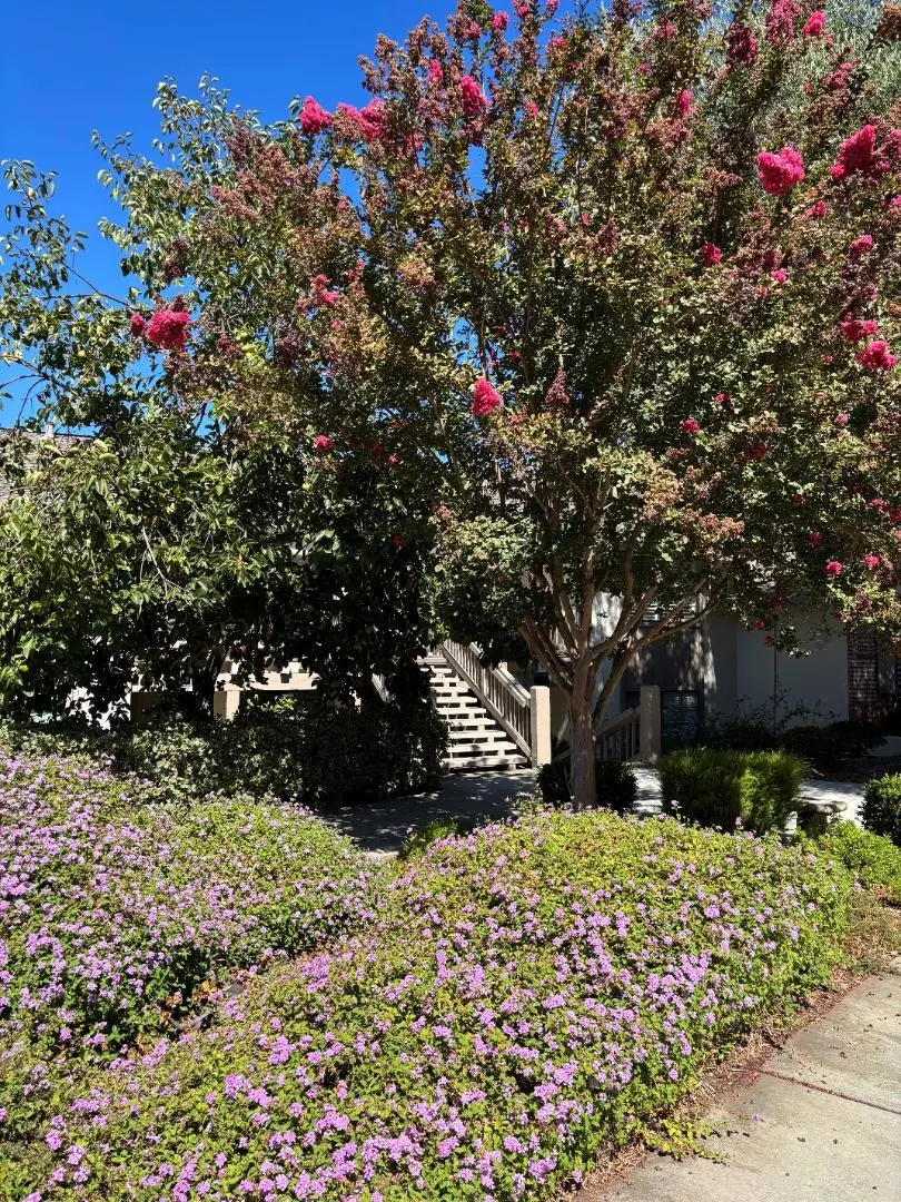 5109 Cribari Place, San Jose, CA 95135 - #3