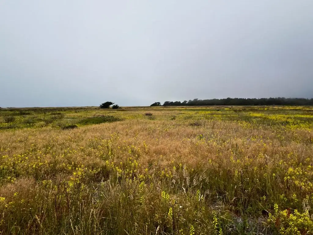 0 Beach Avenue, Half Moon Bay, CA 94019 - #1
