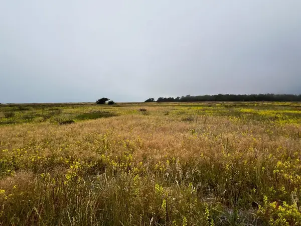 0 Beach Avenue, Half Moon Bay, CA 94019