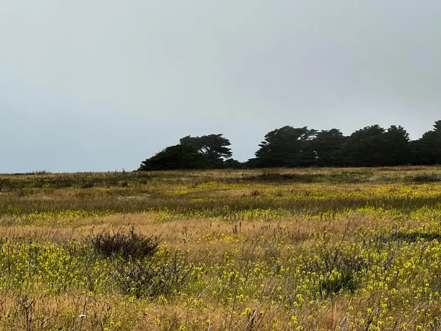 0 Beach Avenue, Half Moon Bay, CA 94019 - #2