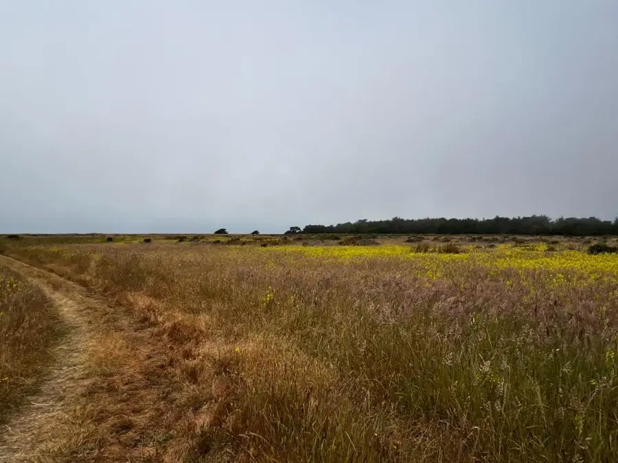 0 Beach Avenue, Half Moon Bay, CA 94019 - #3