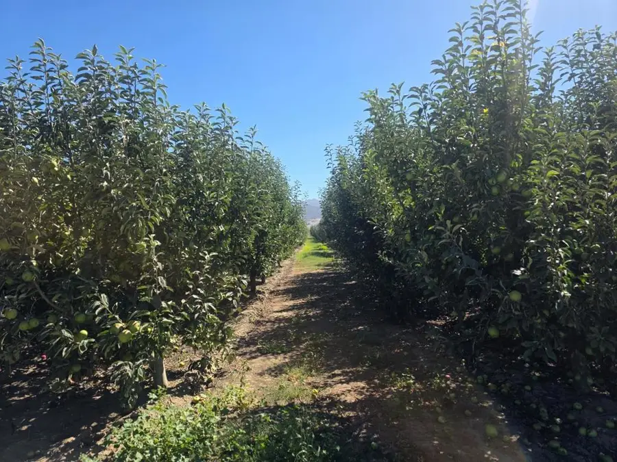 0 Olympia Avenue, San Juan Bautista, CA 95045 - #3