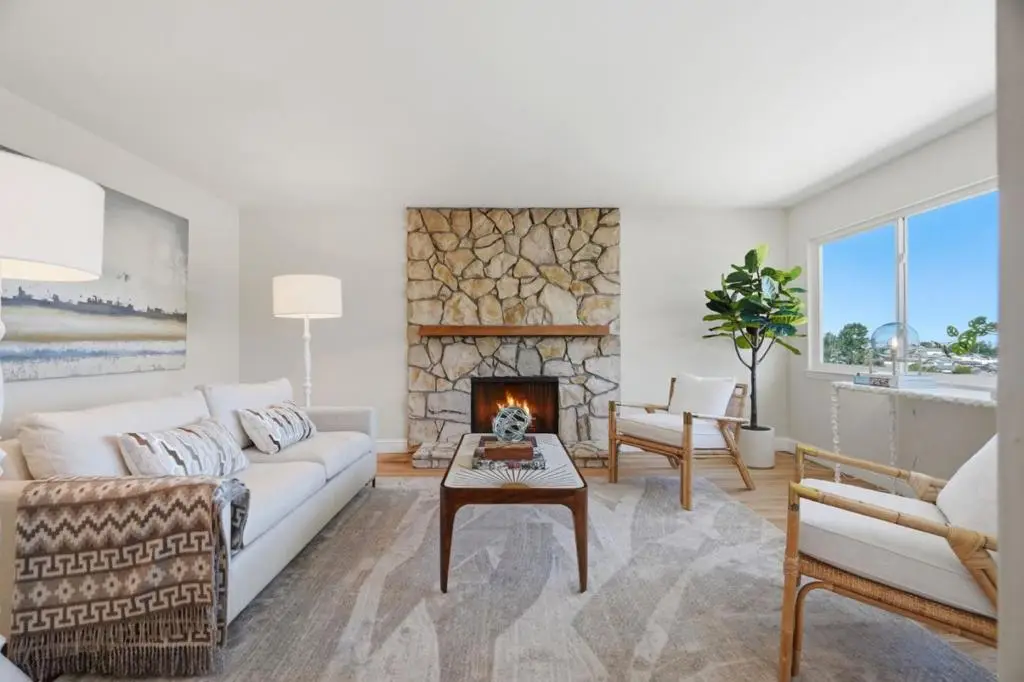 245 Castleton Way, San Bruno, CA 94066 - #1