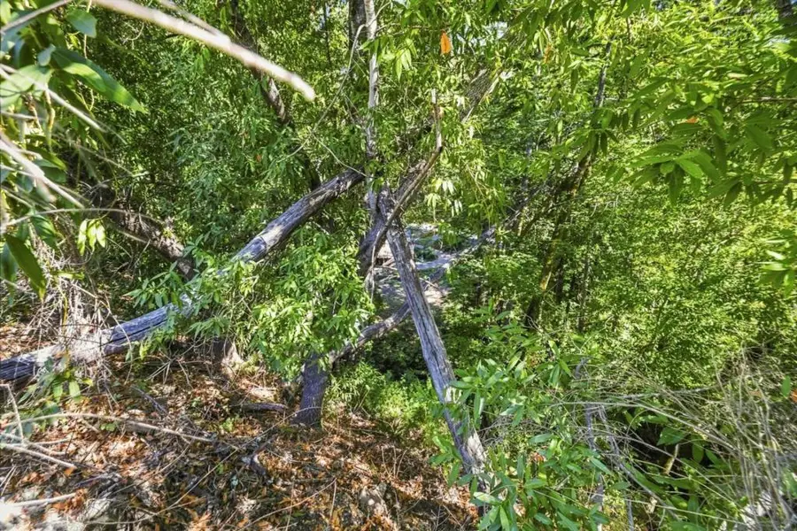 0 Zayante, Felton, CA 95018 - #3