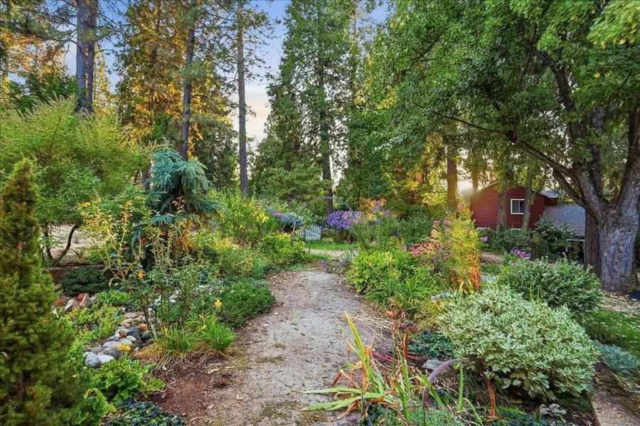 11077 Squirrel Creek Road, Grass Valley, CA 95945 - #3