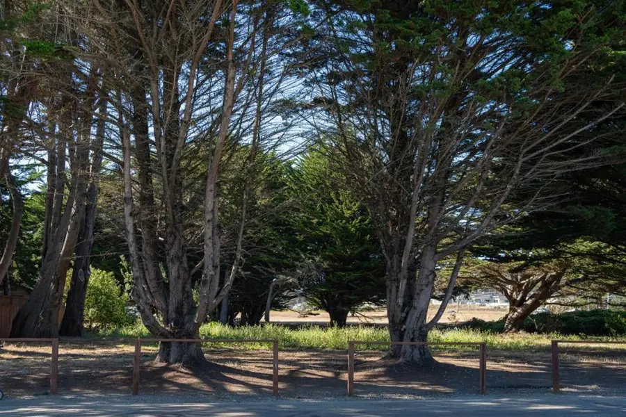 121 Magellan Avenue, Half Moon Bay, CA 94019 - #2