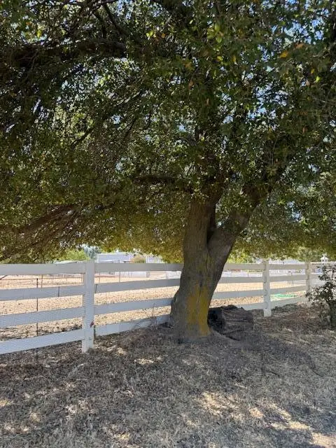 9537 Wamble Road, Oakdale, CA 95361 - #3