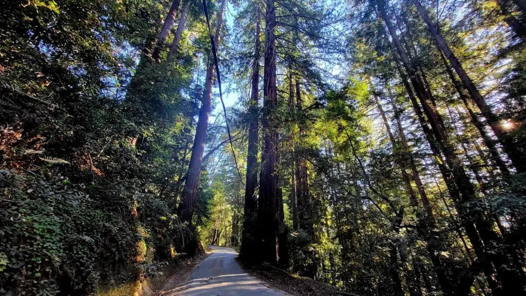 0 Redwood Lodge Road, Los Gatos, CA 95033 - #1