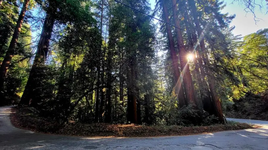 0 Redwood Lodge Road, Los Gatos, CA 95033 - #2
