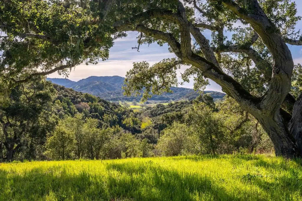7 Vasquez Trail (lot 172), Carmel, CA 93923 - #1