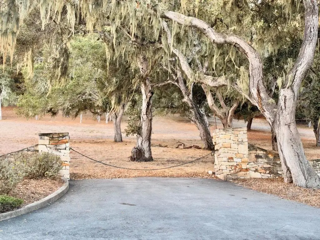 23990 Via Malpaso, Monterey, CA 93940 - #1