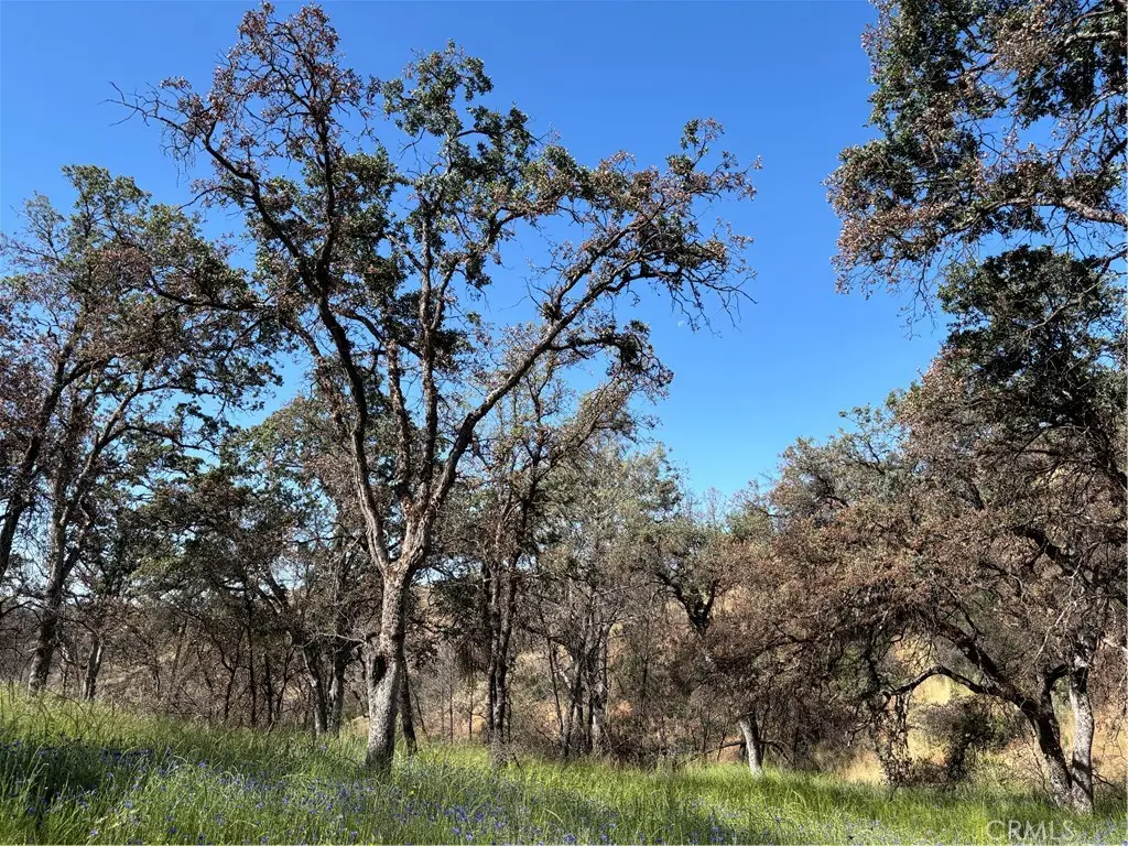 5358 Mariposa Heights Road, Mariposa, CA 95338 - #1