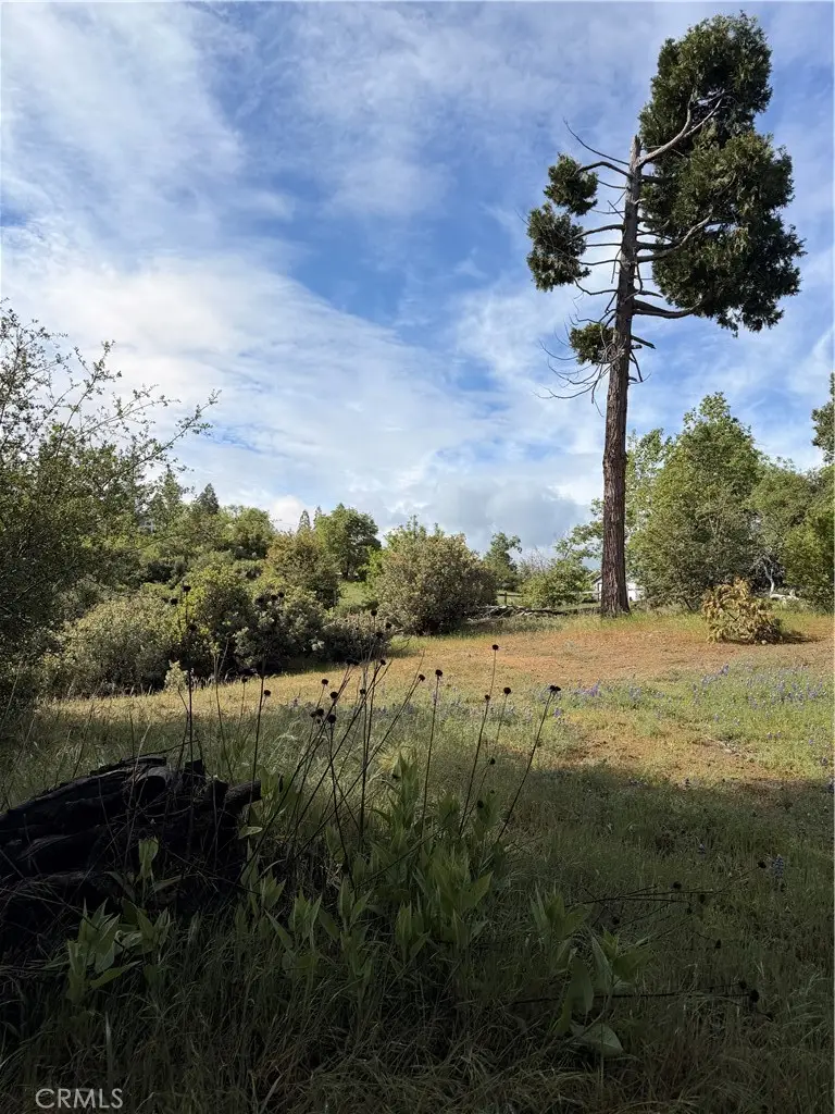 39 Manzanita Drive, Oakhurst, CA 93644 - #2