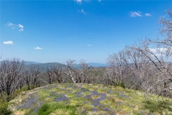 39 Acres Buckingham Mountain Road, Mariposa, CA 95338