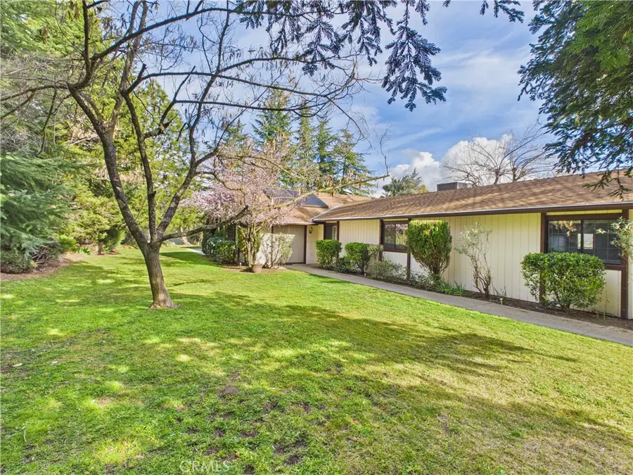 42177 Lone Olive, Ahwahnee, CA 93601 - #3