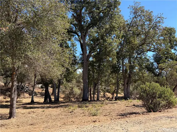 0 Morningstar Lane, Mariposa, CA 95338