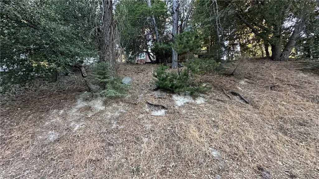 0 Mid Lane, Twin Peaks, CA 92391 - #1