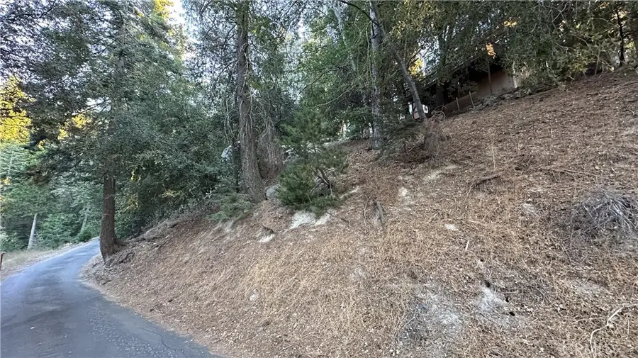 0 Mid Lane, Twin Peaks, CA 92391 - #3