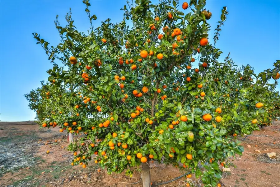 0 Stone Point, Murrieta, CA 92562 - #3