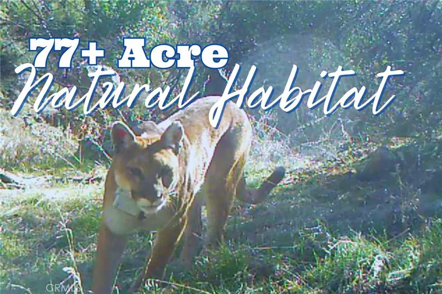 28618 Chihuahua Valley Road, Warner Springs, CA 92086 - Image #2