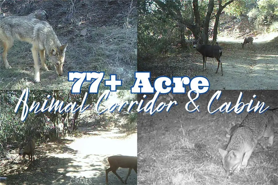 28618 Chihuahua Valley Road, Warner Springs, CA 92086 - #3