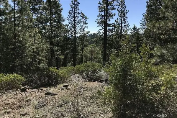 0 Falcon Road, California Pines, CA 96101