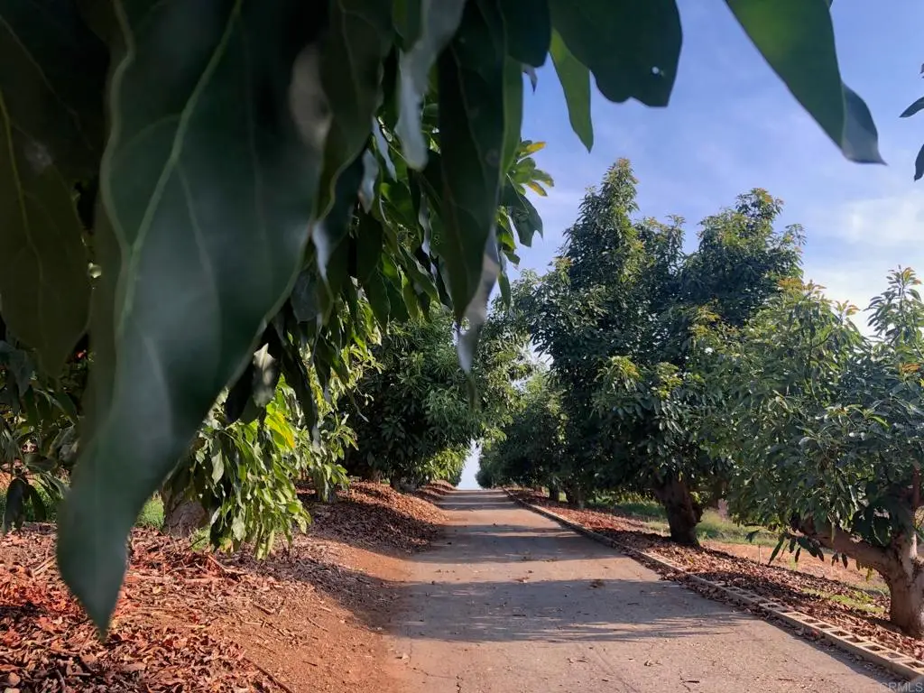 1313 Rice Canyon Rd, Fallbrook, CA 92028 - Image #1