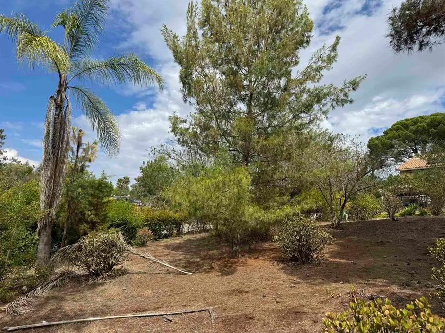 Sage Hill & Meadow Glen Way, Escondido, CA 92026 - #3