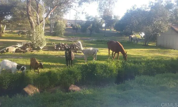 6490 Rainbow Heights Road, Fallbrook, CA 92028