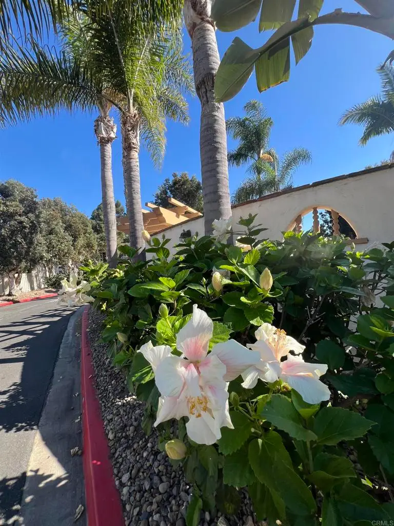 4241 Loma Riviera Lane, San Diego, CA 92110 - Image #2