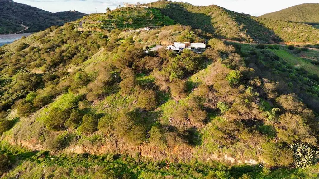 121 Avo Drive, Fallbrook, CA 92028 - #1