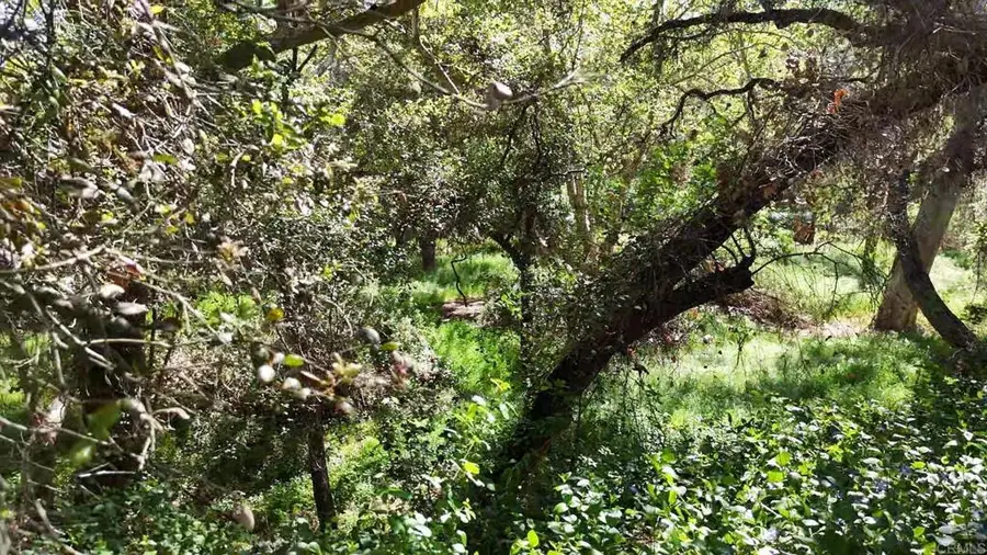 9237 Harmony Grove, Escondido, CA 92029 - #2