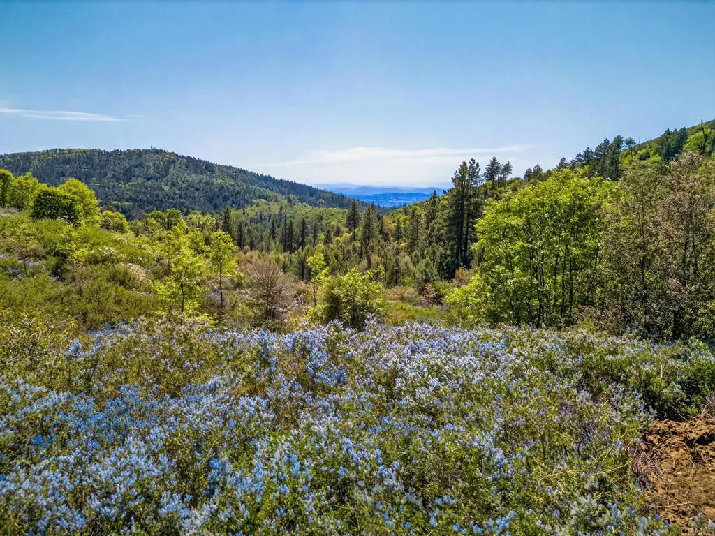 200 +/- Acres Palomar Divide Truck Trail, Palomar Mountain, CA 92060 - #1