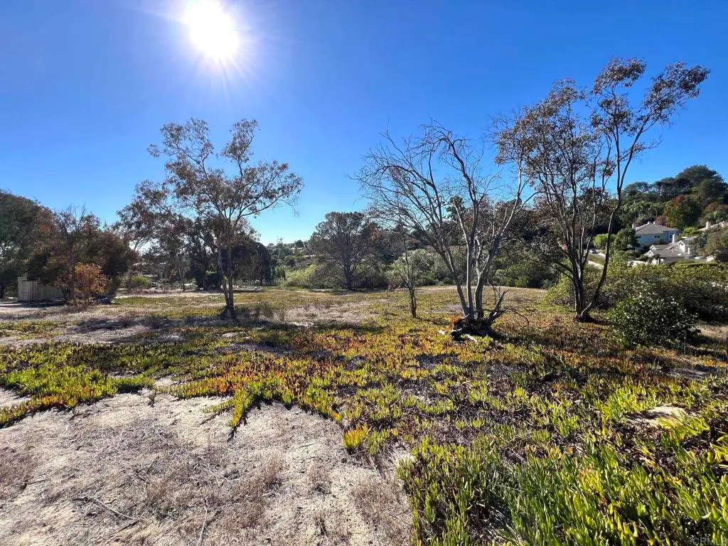 Mays Hollow Lane, Encinitas, CA 92024 - #1