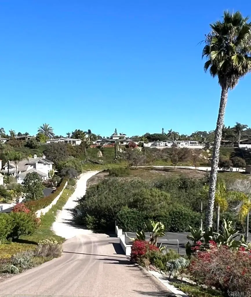 Mays Hollow Lane, Encinitas, CA 92024 - #2