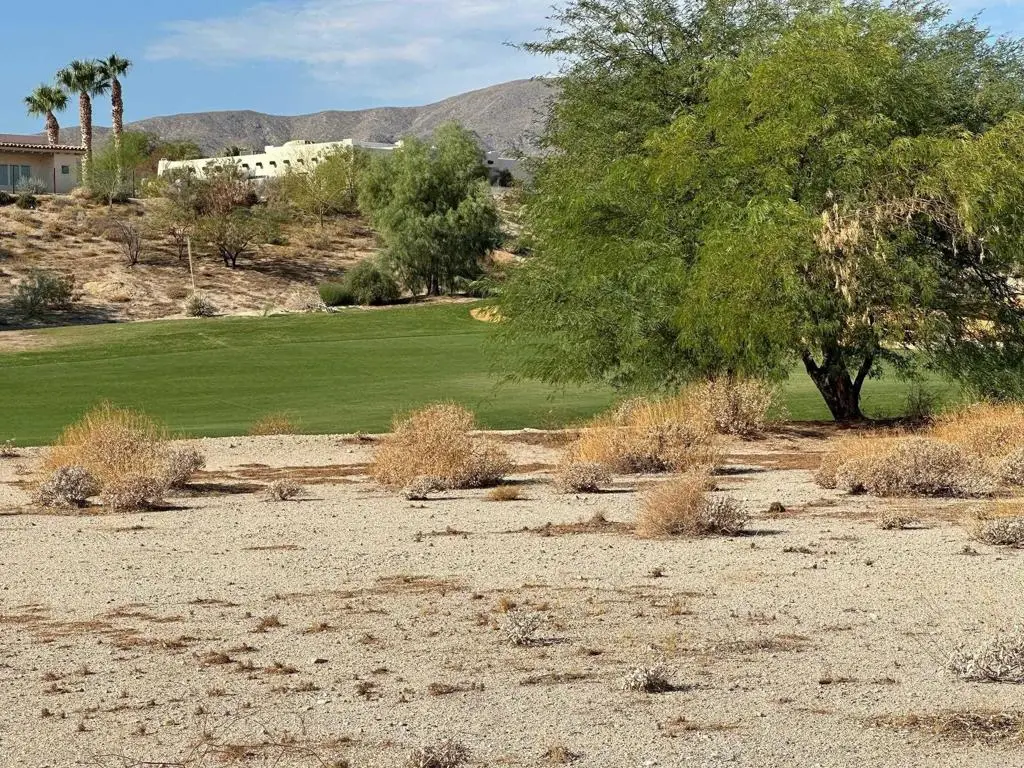 0 Roadrunner Drive, Borrego Springs, CA 92004 - #1