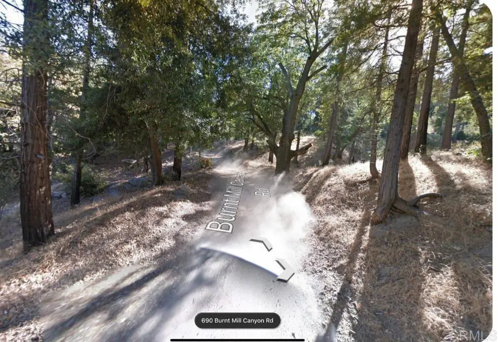 0 Burnt Creek Canyon Road, Cedarpines Park, CA 92322 - #1