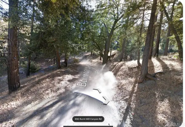0 Burnt Creek Canyon Road, Cedarpines Park, CA 92322