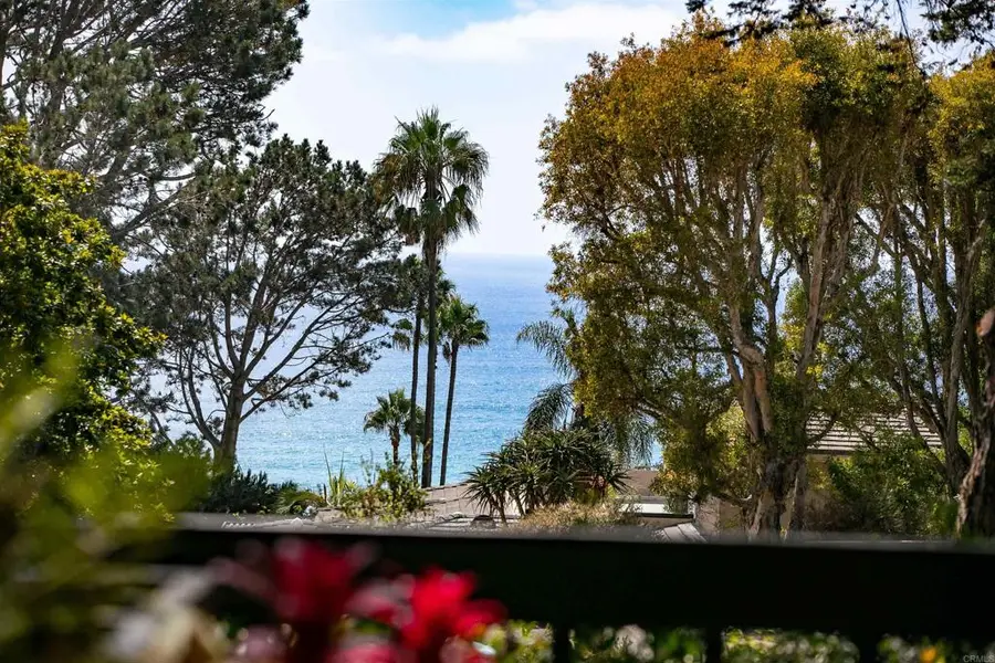 343 Serpentine Drive, Del Mar, CA 92014 - #3