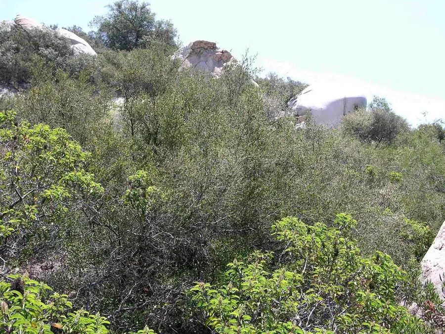 Lot 53 Welcome View, Escondido, CA 92026 - #3