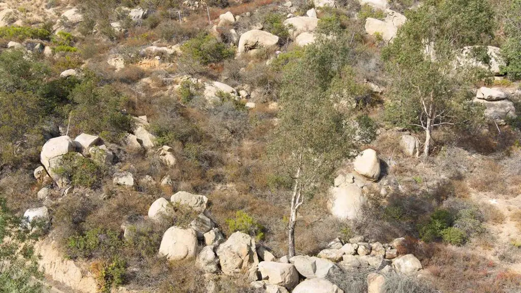 Lot 55 Welcome View, Escondido, CA 92026 - #1